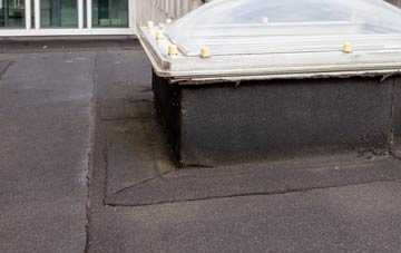 disadvantages of Ballyeaston flat roofs